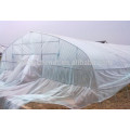 GreenHouse Film (With UV Additives)